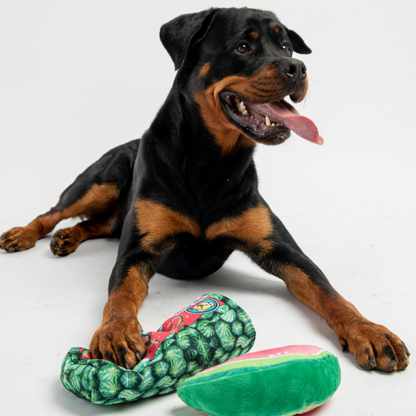 Watermelon Candy- Dog Toy