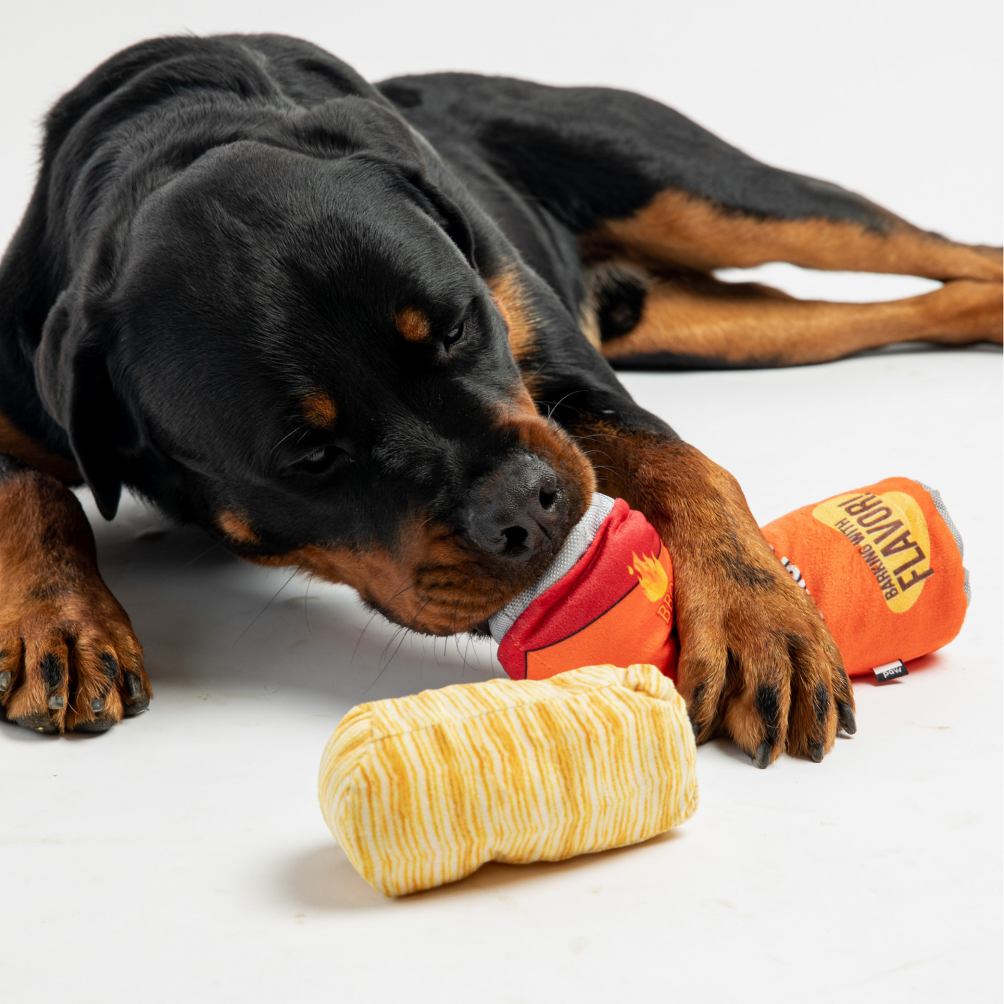 Stack O' Potato Chips- Dog Toy